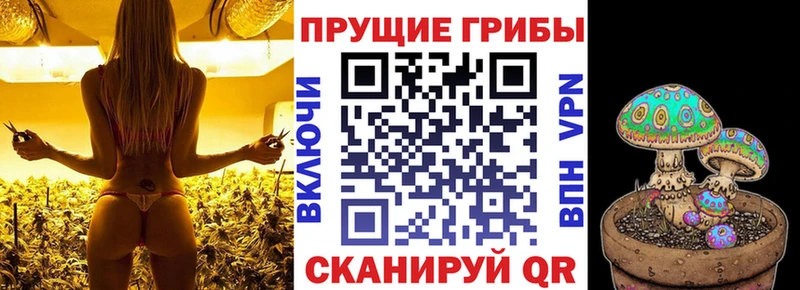 Галлюциногенные грибы Psilocybe  сколько стоит  Берёзовский 